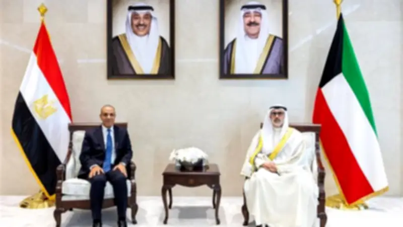 وزير الخارجية المصري يؤكد تضامن بلاده الكامل مع الكويت في مباحثات مع نظيره الكويتي
