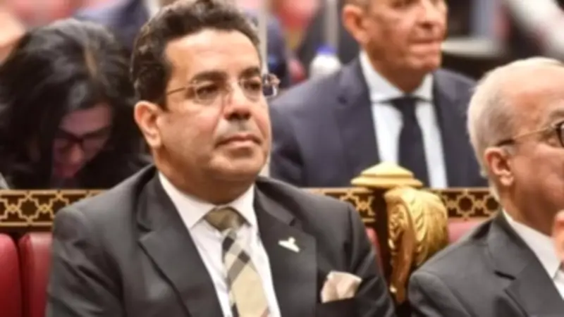 باسل عادل: أمن الخليج جزء لا يتجزأ من الأمن القومي المصري