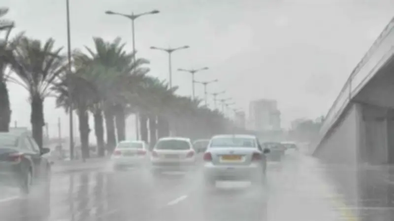 تحذير رسمي من هيئة الأرصاد: شبورة مائية كثيفة تهدد هذه المناطق الخميس