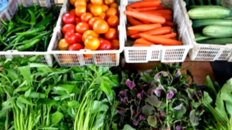 ارتفاع أسعار الخضروات في المنيا مع انخفاض طفيف للبصل اليوم