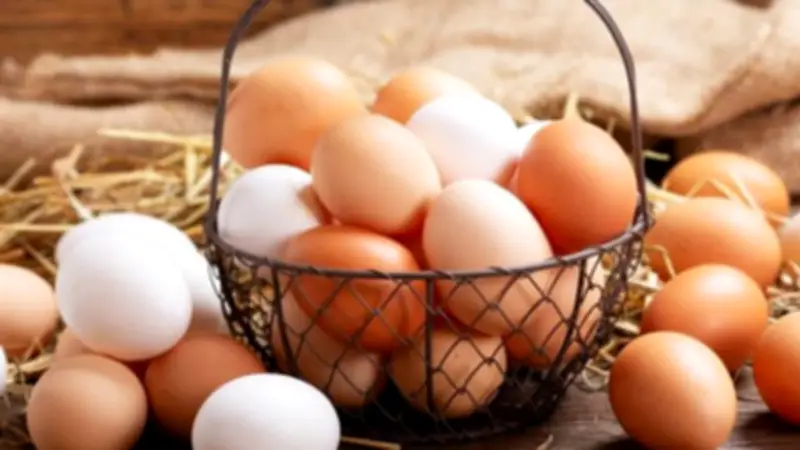 استقرار أسعار البيض اليوم الخميس في بورصة الدواجن مع اقتراب عيد شم النسيم