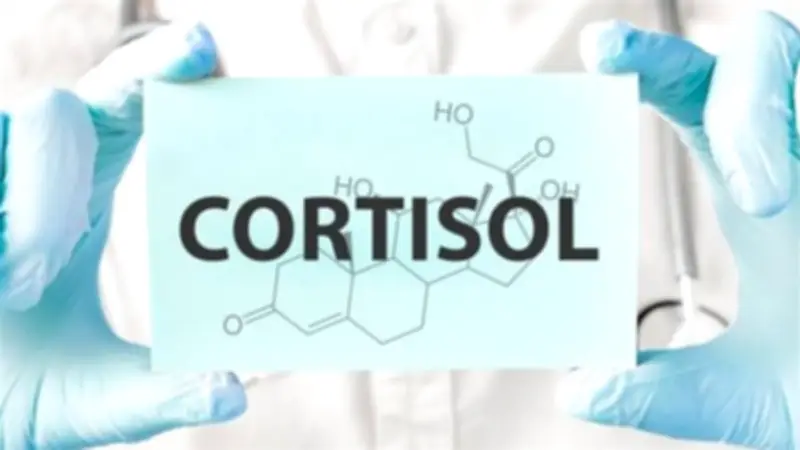 هرمون الكورتيزول: أسباب ارتفاعه في الجسم وطرق فعالة للوقاية منه