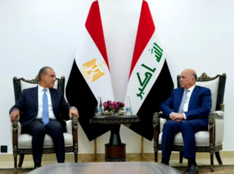 وزير الخارجية يحذر من خطورة استمرار العدوان الإسرائيلي على لبنان