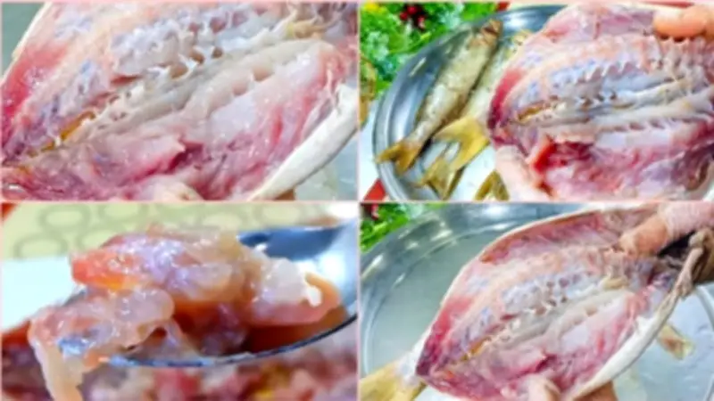 مركز سموم الإسكندرية يحذر من تسمم الفسيخ الوشيقي في شم النسيم