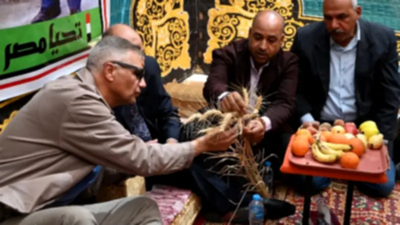 انطلاق موسم حصاد القمح الذهب الأصفر في جنوب سيناء بمشاركة قيادات محلية وزراعية