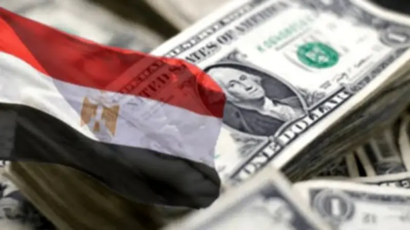 مقترحات برلمانية عاجلة لمواجهة أزمة ديون مصر: بين تبرعات المقتدرين وتحفيز المغتربين