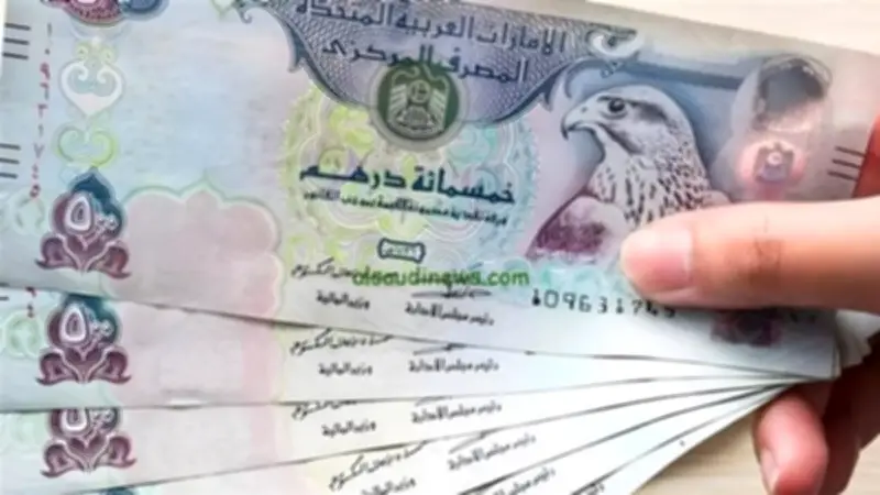 تراجع سعر الدرهم الإماراتي أمام الجنيه المصري في البنوك المصرية اليوم