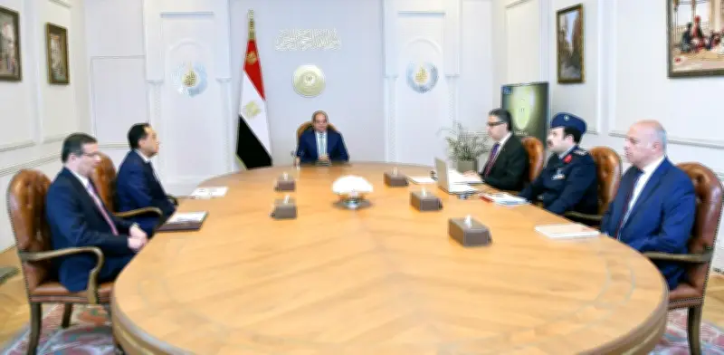 الرئيس السيسي يوجه باستخدام كل آليات ضبط السوق لمواجهة غلاء الأسعار