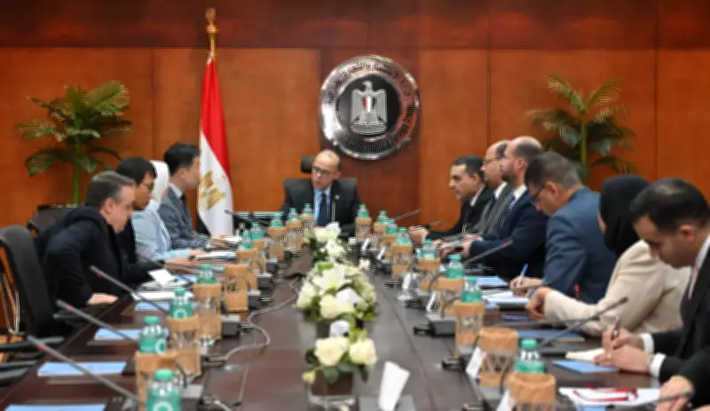 وزير الاستثمار: نسعى لتعزيز تنافسية الصناعة المصرية عالمياً عبر تحسين بيئة الأعمال