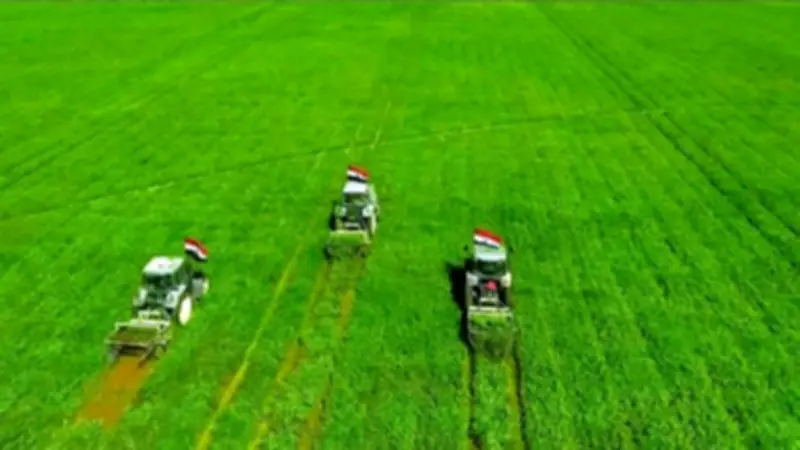 برلماني: الأمن الغذائي قضية أمن قومي وليس خدمة اقتصادية.. ومشروعات كبرى تدعم الاكتفاء الذاتي