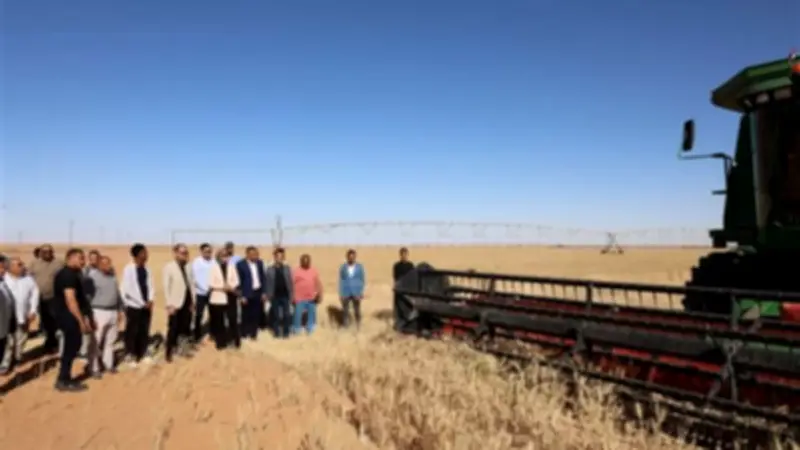 محافظ الوادي الجديد تتابع انتظام توريد القمح بالداخلة وتشيد بمشروعات الاستثمار الزراعي