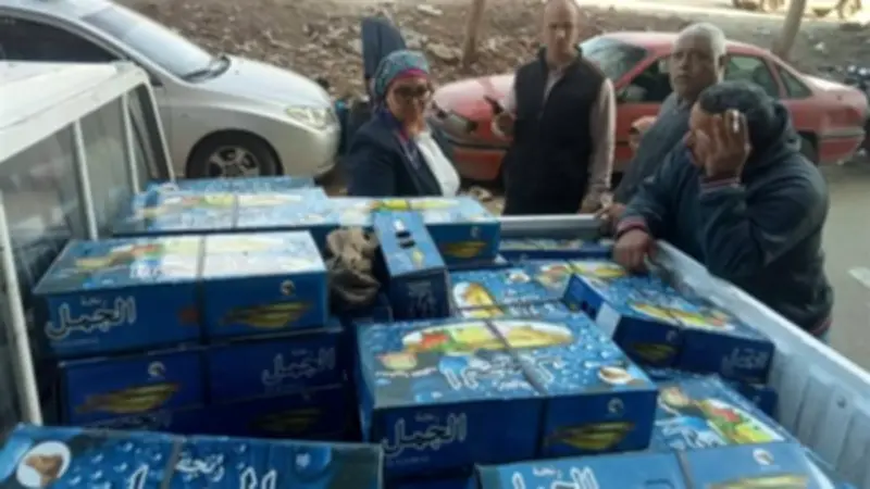 القليوبية تضبط طن رنجة وفسيخ غير صالحين وسلع مجهولة المصدر في حملات مكثفة قبل شم النسيم