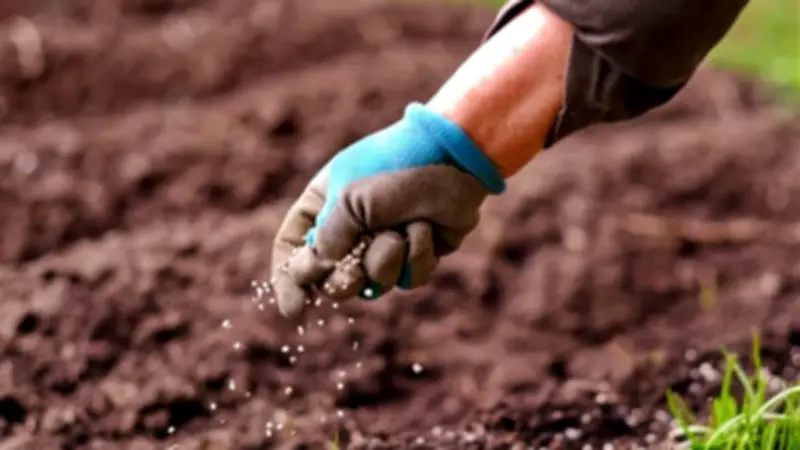 انخفاض أسعار الأسمدة اليوم باستثناء السلفات في الأسواق المحلية