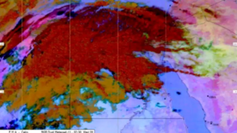 الأرصاد تحذر من شبورة مائية كثيفة على السواحل الشمالية وانخفاض الرؤية الأحد