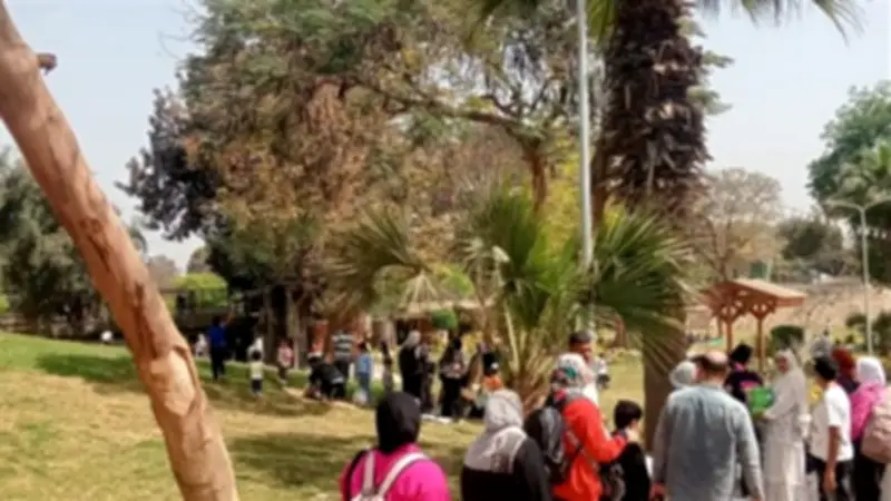 استعدادات مكثفة لشم النسيم: رفع الطوارئ بالمحافظات وتشديد الرقابة على الأسواق