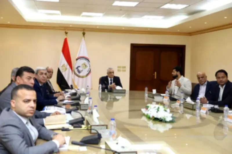 تعاون مصري هندي لتعزيز القدرات الإنتاجية في الصناعات الكيميائية