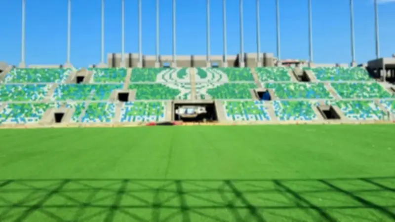 وزارة الشباب والرياضة تعلن استكمال زراعة نجيل ستاد النادي المصري الجديد في بورسعيد