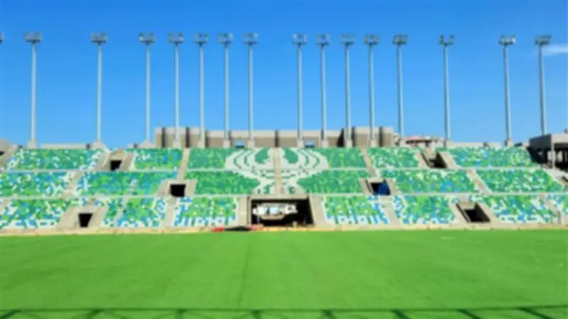 وزارة الشباب والرياضة تعلن الانتهاء من زراعة النجيلة باستاد النادي المصري الجديد في بورسعيد