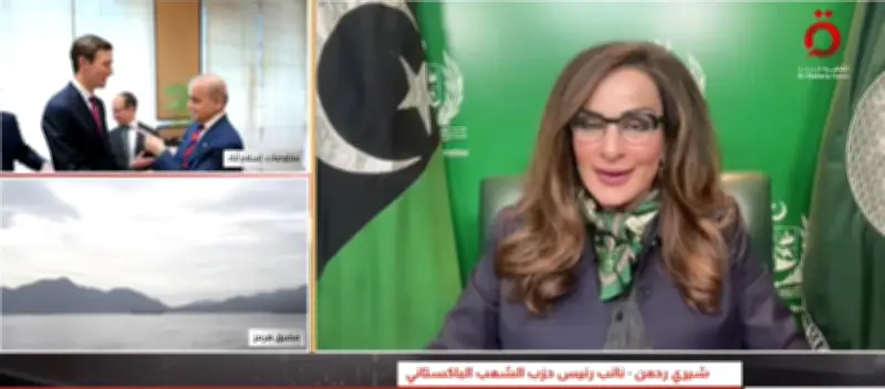 نائب رئيس حزب الشعب الباكستاني يؤكد استمرار المسار التفاوضي مع الحكومة