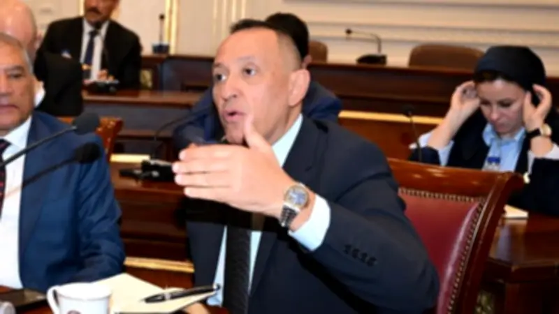 مقترح برلماني لإدراج خدمات الصحة النفسية في التأمين الصحي الشامل وتعزيزها