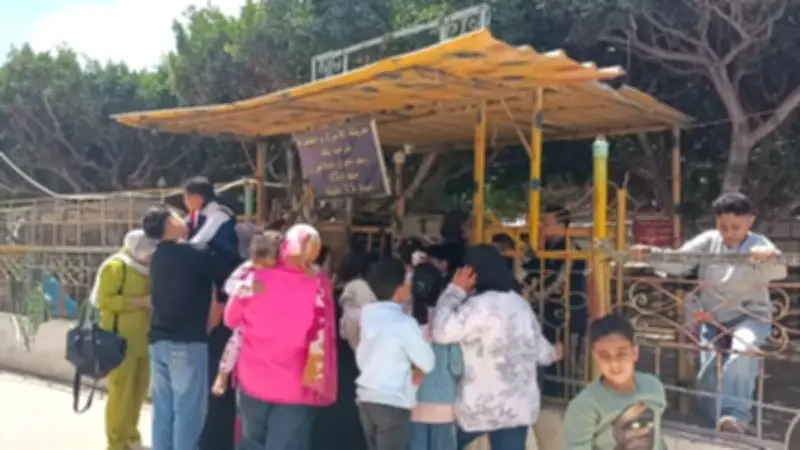 إقبال جماهيري كبير على حدائق دسوق في كفر الشيخ احتفالًا بشم النسيم