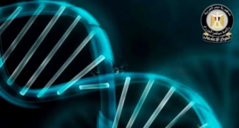 مجلس الوزراء المصري ينهي عقود التمثيل الجيني في الأبحاث الدولية