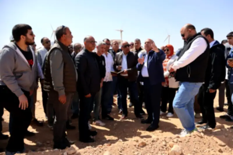 وزير الكهرباء يبحث مشروعات توليد الطاقة بالجلالة مع سرعة رياح نموذجية