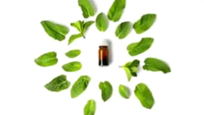 وداعًا للهموش نهائيًا: دليل شامل لتنظيف البيت والقضاء على الحشرات في يوم واحد