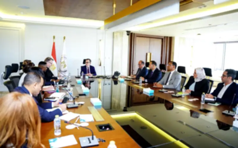 مدير مكتب منظمة العمل الدولية يشيد بإجراءات مصر لتخفيف تداعيات الأزمات العالمية