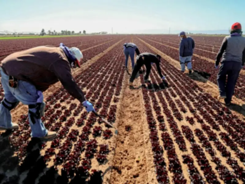 وكيل الأمين العام للأمم المتحدة يحذر من إغلاق مضيق هرمز وتأثيره على الأمن الغذائي العالمي