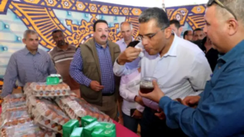 محافظ البحر الأحمر يتفقد مشروع وادي حوضين كنموذج للتنمية المتكاملة في الشلاتين