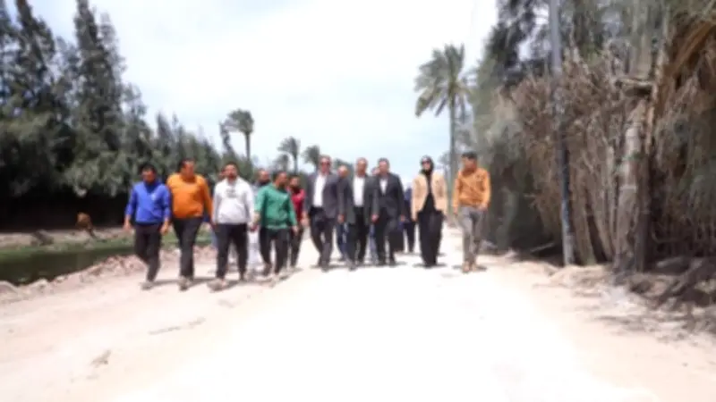 محافظ دمياط يختتم جولة بتفقد رصف طريق أم الرضا بالجهود الذاتية في كفر البطيخ