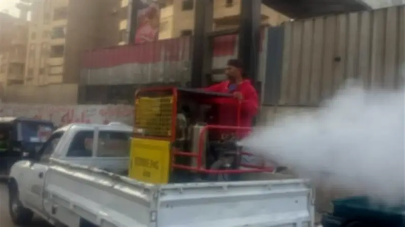 حي العجوزة يشن حملة موسعة للقضاء على انتشار الخنازير في منطقة أرض اللواء