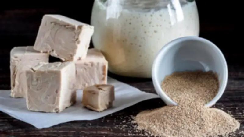 الفرق بين الخميرة الفورية والبيرة والأقراص: أيهما الأفضل لصحتك؟