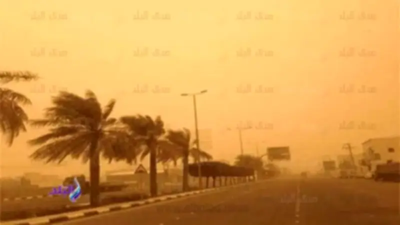 استشاري مناعة يحذر من التقلبات الجوية ويوجه نصائح عاجلة لمرضى الحساسية