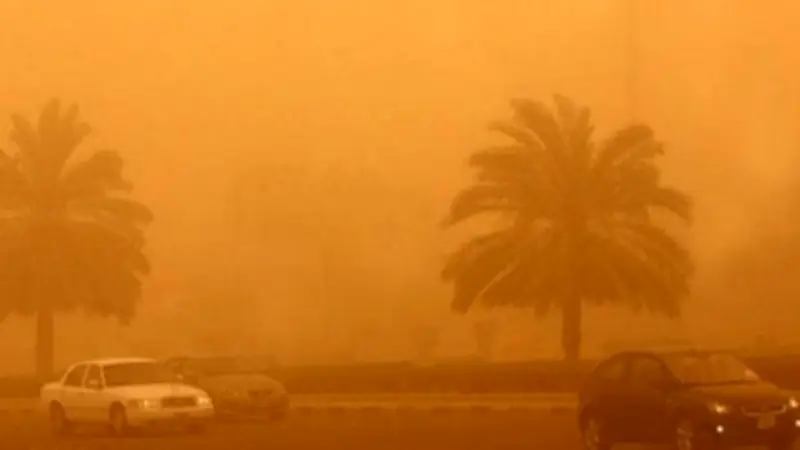 حصاد القمح في مصر يشهد زيادة إنتاجية كبيرة ويعزز مخزون السلع الاستراتيجية