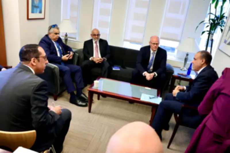 وزير الخارجية المصري يؤكد ثوابت الموقف المصري من القضية الفلسطينية