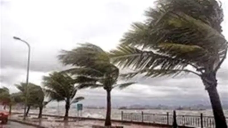 تحذيرات من نشاط الرياح والأمطار: إرشادات مرورية شاملة للقيادة الآمنة في الطقس السيئ