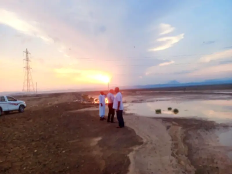 وزير الزراعة يوجه بتقديم الدعم الفني العاجل لمتضرري السيول في سانت كاترين