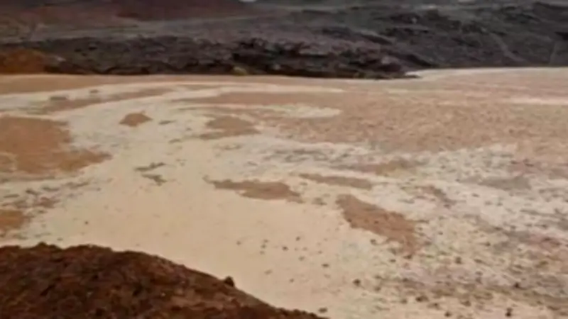 وزير الزراعة يوجه بتقديم دعم فني عاجل لمتضرري السيول بوادي سعال بسانت كاترين