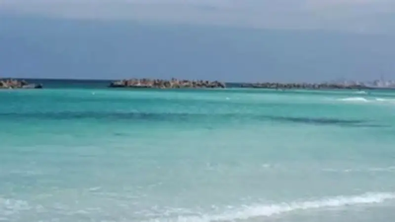 السياحة والمصايف تنفي شائعات فتح شاطئ النخيل وتؤكد إغلاقه لحماية المواطنين