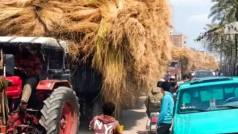 مصرع شاب في حادث تصادم مع جرار زراعي بكوبري الرباط بالغربية