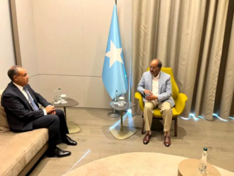 وزير الخارجية المصري يشدد على إدانة مصر لاعتراف إسرائيل بما يسمى أرض الصومال