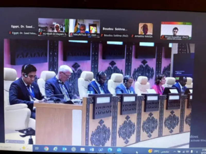 مصر تترأس منظمة الفاو في دعم منظومة الأمن الغذائي العالمي