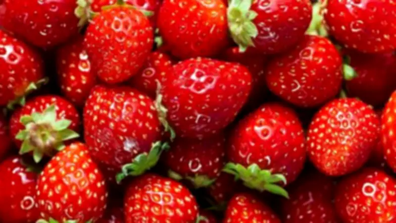 تأثير الفراولة على الجسم: فوائد صحية مذهلة من الفيتامينات إلى مضادات الأكسدة
