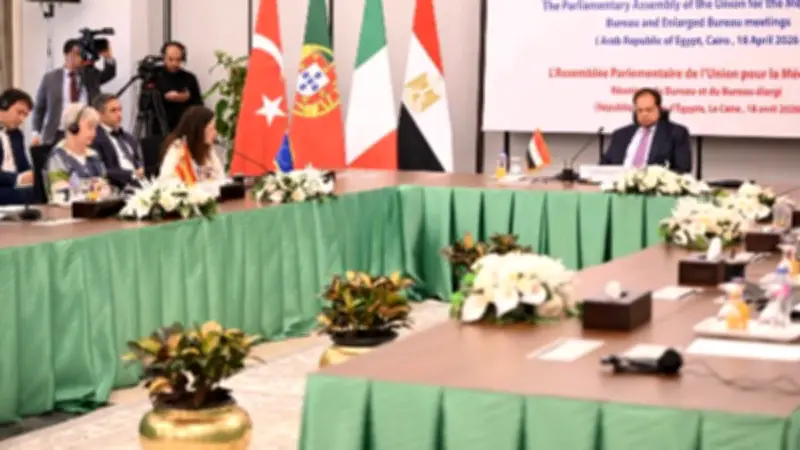 إسبانيا تؤكد دعمها لرؤية مصر في تعزيز السلام ورفض الحروب خلال اجتماع برلماني