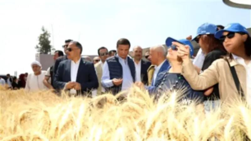 وزارة الزراعة تطلق فيديو توعويًا جديدًا بعنوان "معاك في الغيط" لحصاد القمح