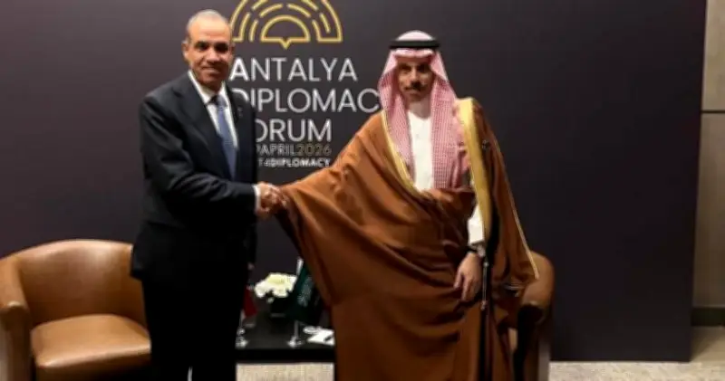 وزير الخارجية المصري: السعودية ودول الخليج تمثل ركيزة أساسية للأمن القومي المصري