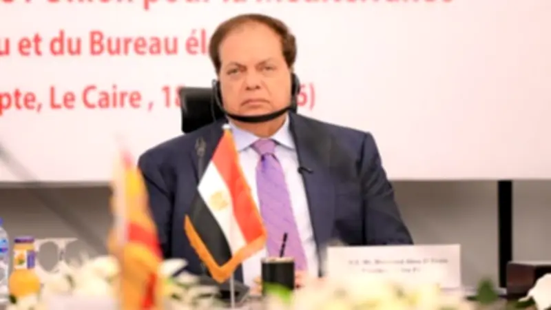 أبو العينين: الرئيس السيسي لعب دورًا محوريًا في استقرار المنطقة ودعم الحلول الدبلوماسية