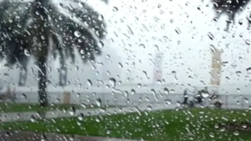 الأرصاد تحذر من تخفيف الملابس ليلاً مع استقرار الطقس بدءاً من السبت